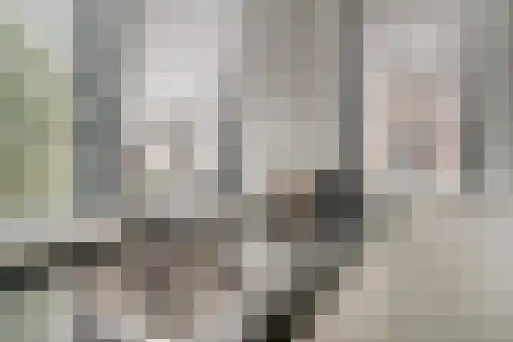 Stedelaan 19 Zevenaar thumbnail 13