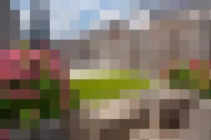 Stedelaan 19 Zevenaar thumbnail 25