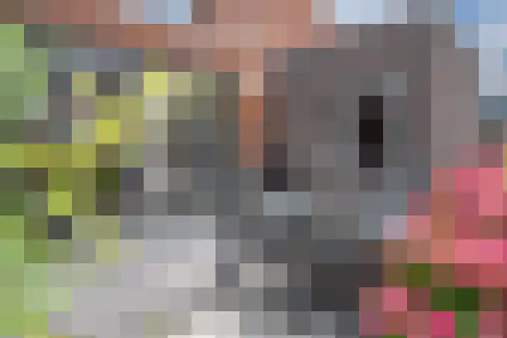 Stedelaan 19 Zevenaar thumbnail 27