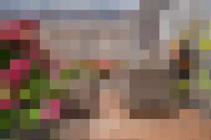 Stedelaan 19 Zevenaar thumbnail 29