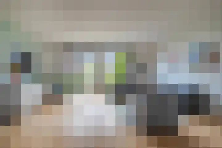 Stedelaan 25 Zevenaar thumbnail 15