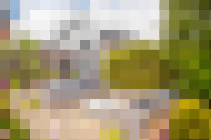 Stedelaan 25 Zevenaar thumbnail 18