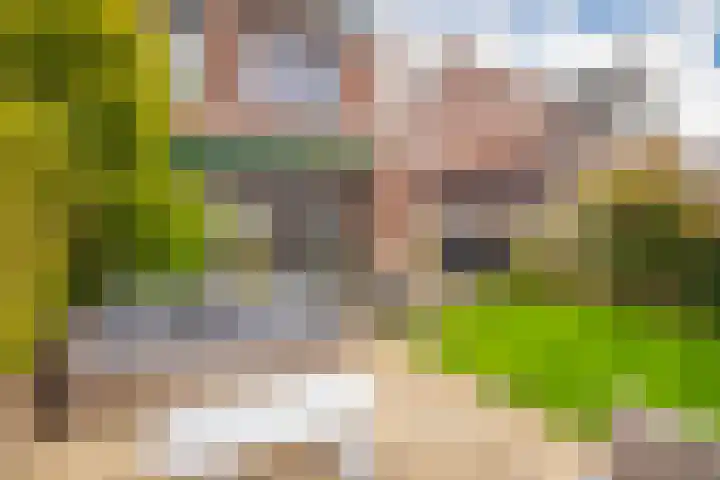 Stedelaan 25 Zevenaar thumbnail 19