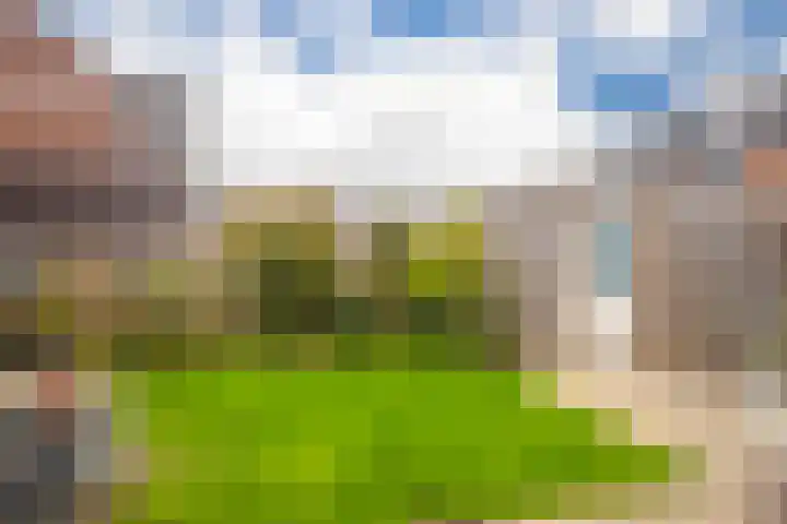 Stedelaan 25 Zevenaar thumbnail 20