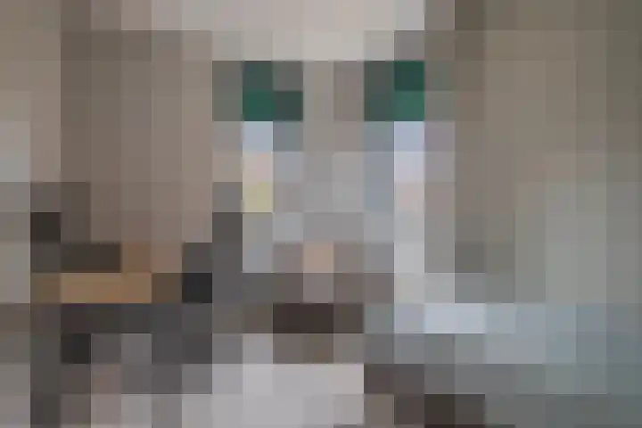 Stedelaan 25 Zevenaar thumbnail 27