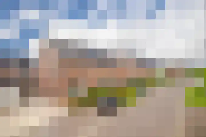 Stedelaan 25 Zevenaar thumbnail 35