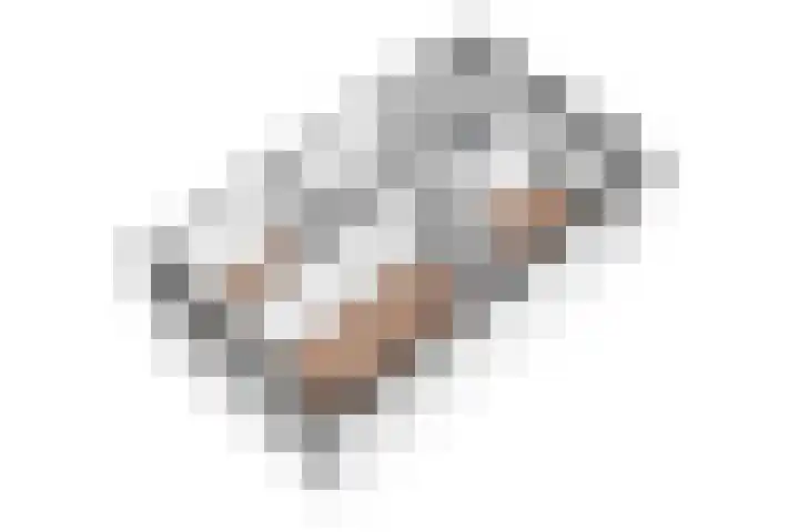 Stedelaan 25 Zevenaar thumbnail 41