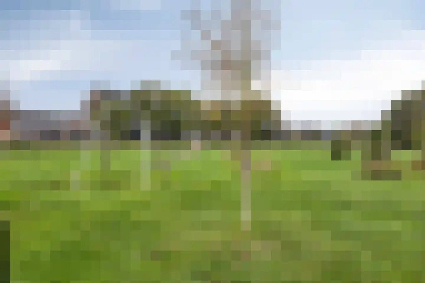 Stedelaan 50 Zevenaar thumbnail 40