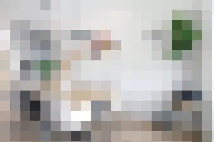 Stedelaan 52 Zevenaar thumbnail 7