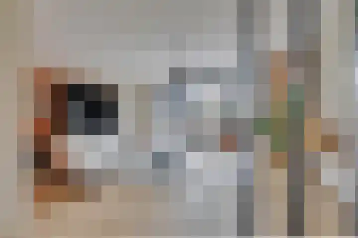 Stedelaan 52 Zevenaar thumbnail 8