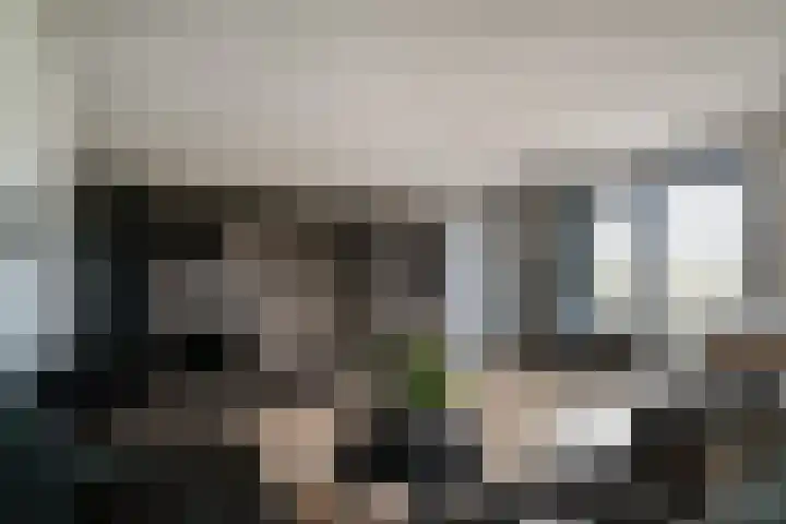 Stedelaan 55 Zevenaar thumbnail 20