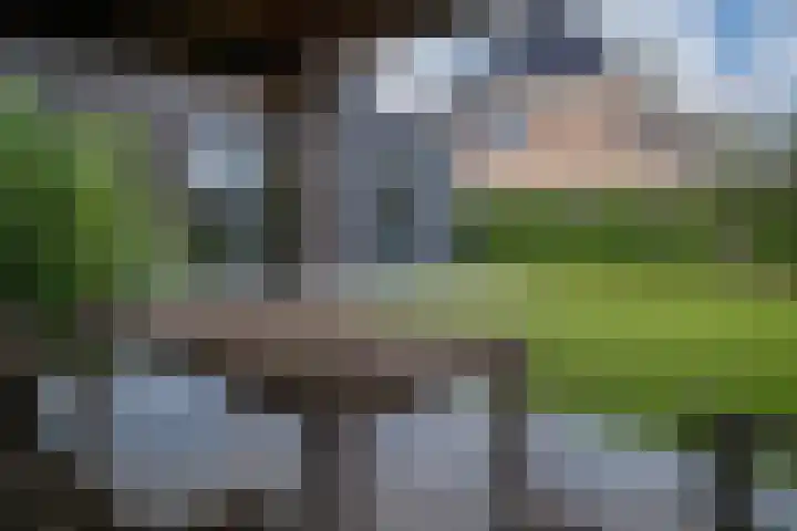 Stedelaan 55 Zevenaar thumbnail 25