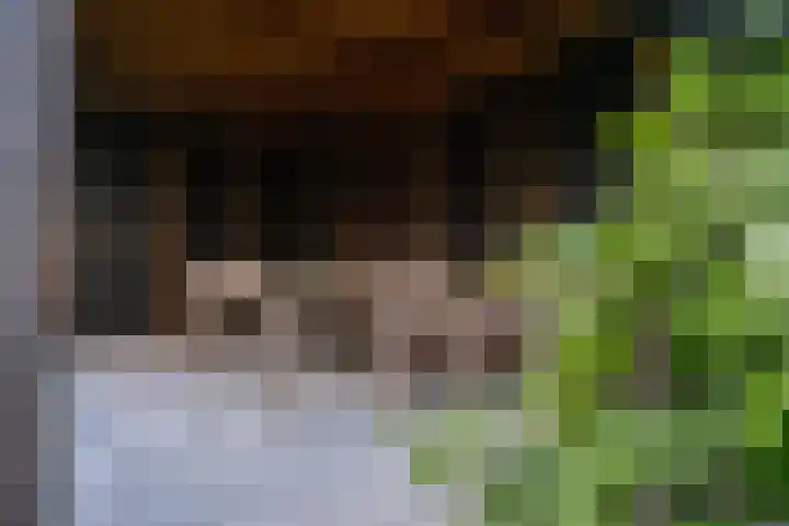 Stedelaan 55 Zevenaar thumbnail 27