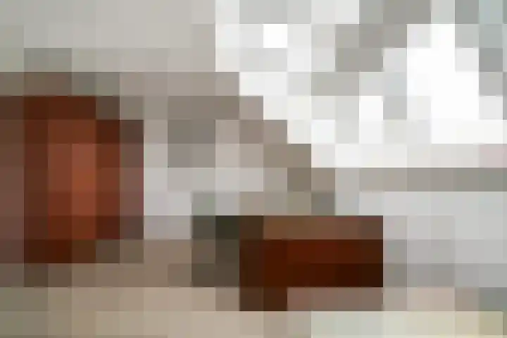 Stedelaan 55 Zevenaar thumbnail 33