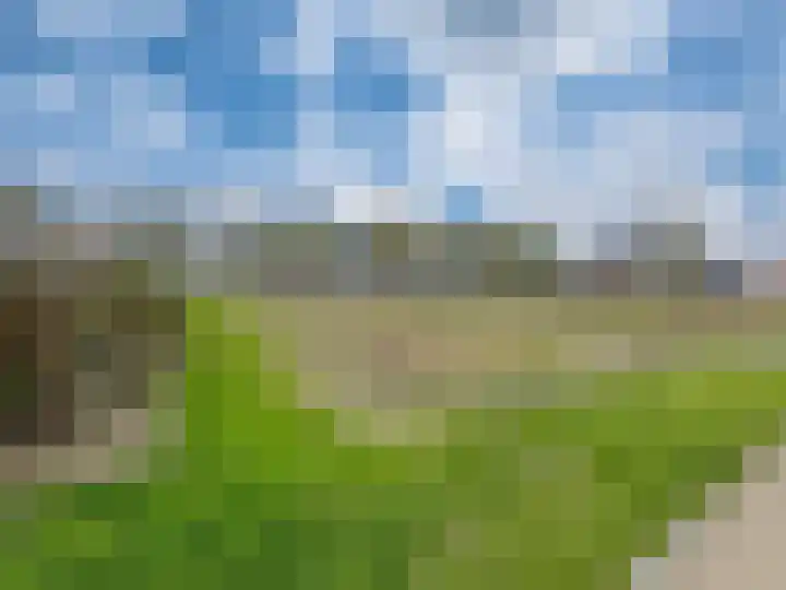 Stedelaan 55 Zevenaar thumbnail 50