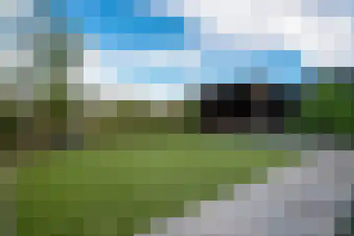 Stedelaan 55 Zevenaar thumbnail 6