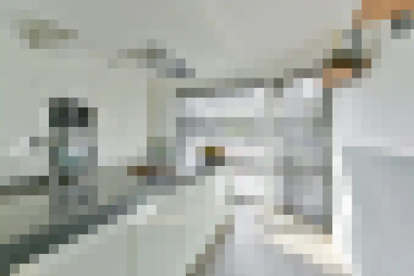 Stedenbouw 11 Houten thumbnail 15