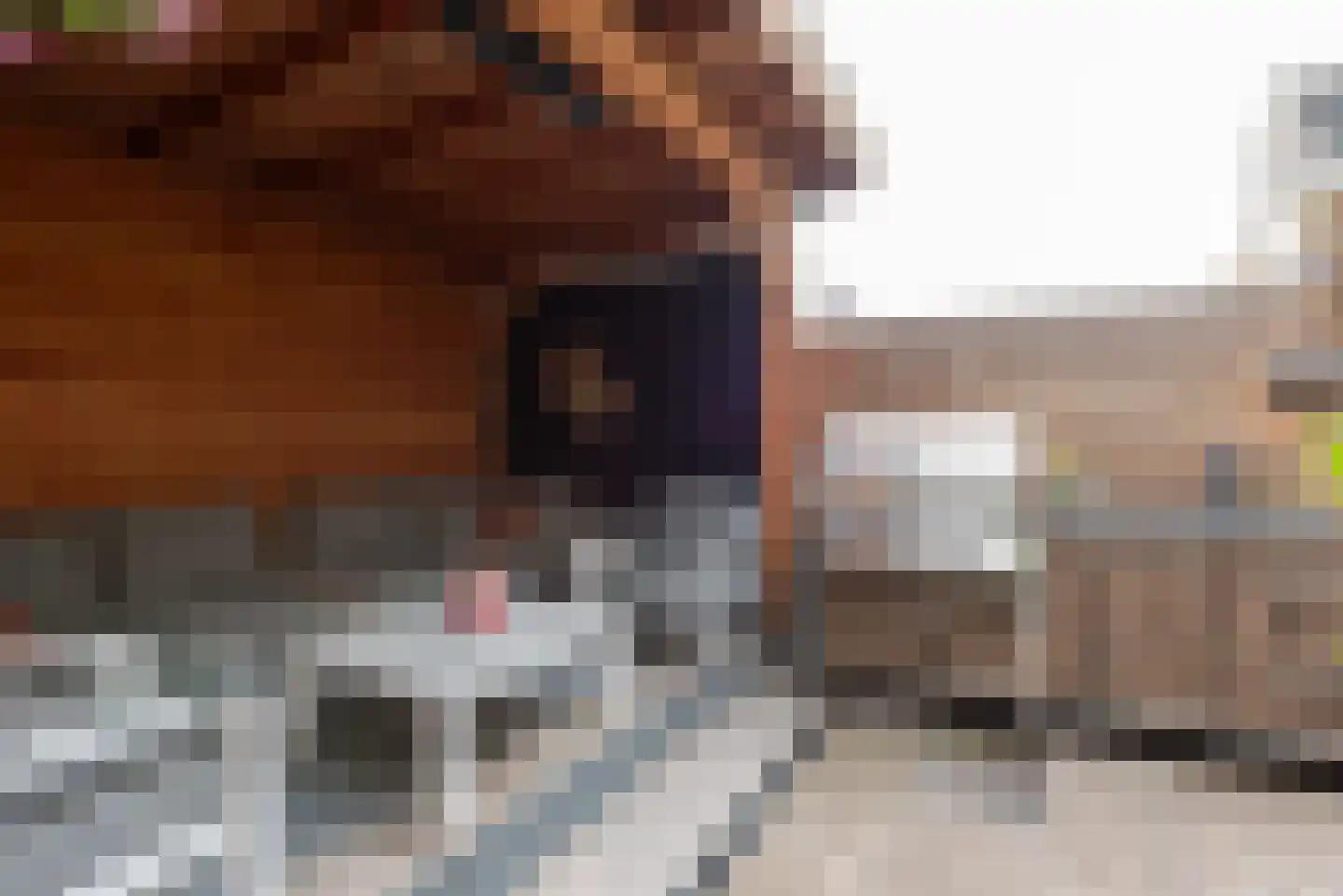 Stedenbouw 11 Houten thumbnail 24