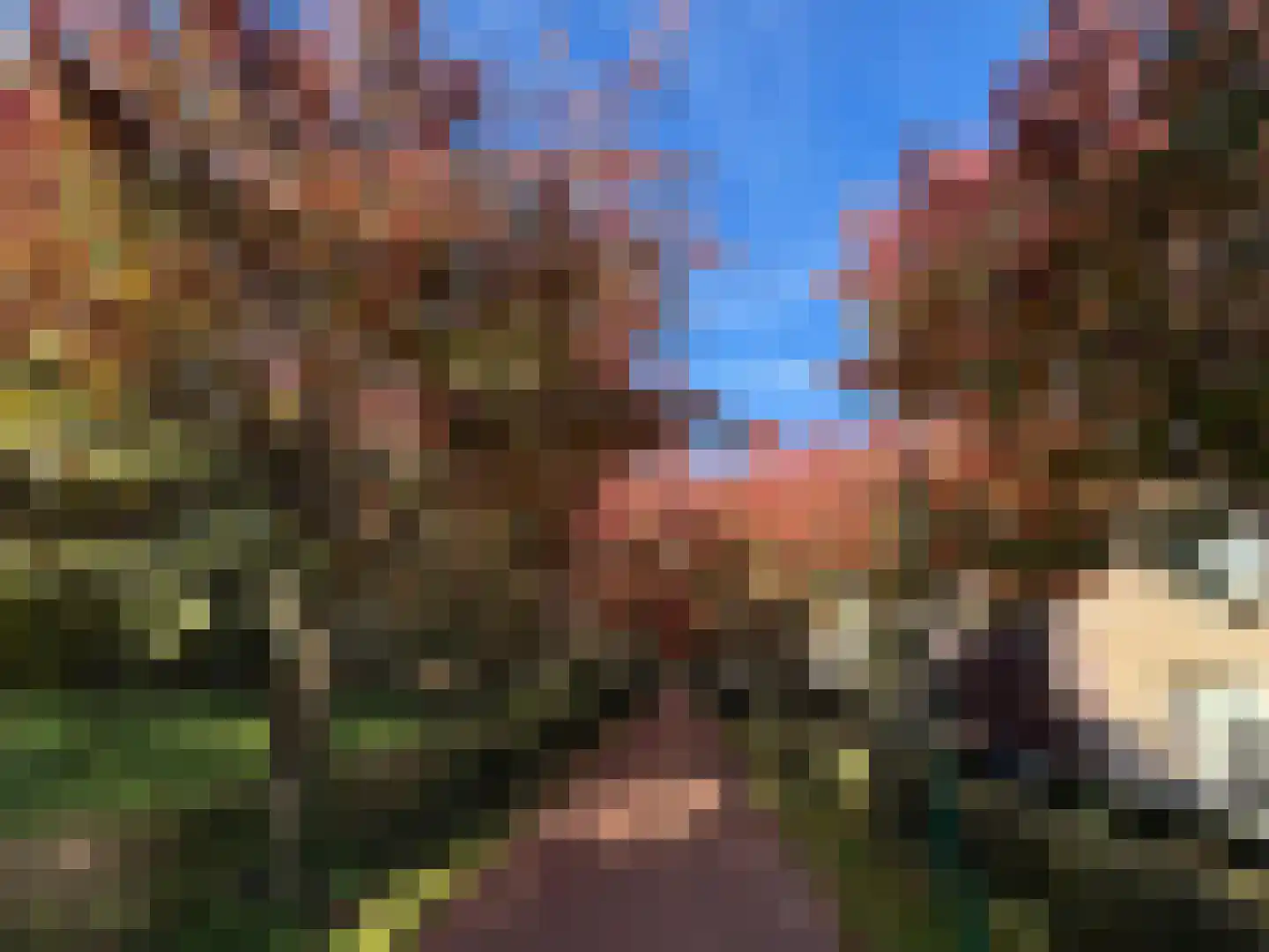 Stedenbouw 11 Houten thumbnail 53