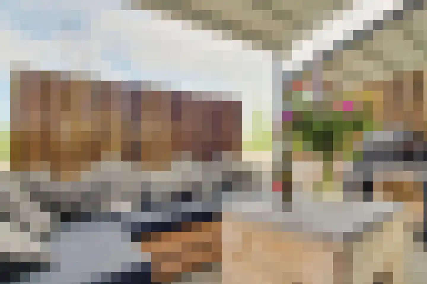 Stedendwinger 12 Maastricht thumbnail 14