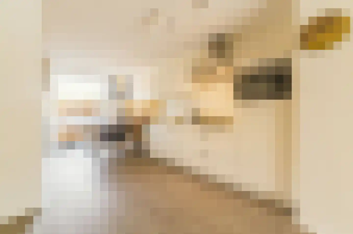 Stedendwinger 12 Maastricht thumbnail 7