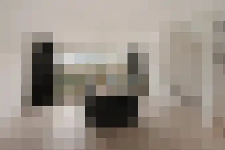 Stedenland 3 Houten thumbnail 11