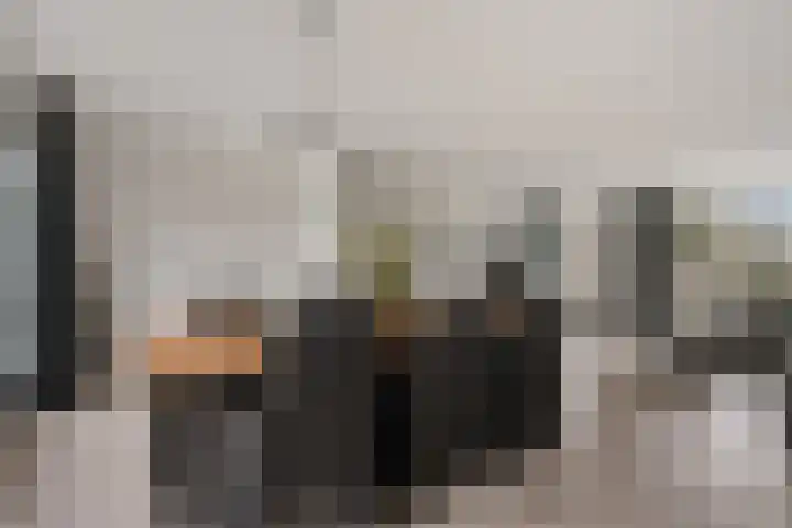 Stedenland 3 Houten thumbnail 13