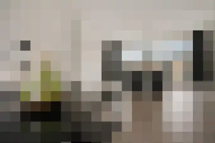 Stedenland 3 Houten thumbnail 14