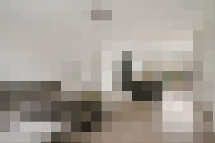 Stedenland 3 Houten thumbnail 16
