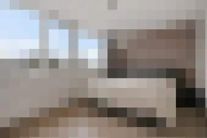 Stedenland 3 Houten thumbnail 20