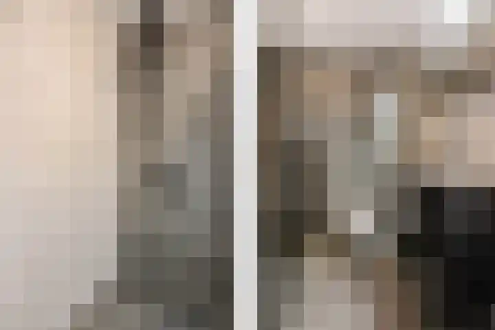 Stedenland 3 Houten thumbnail 26