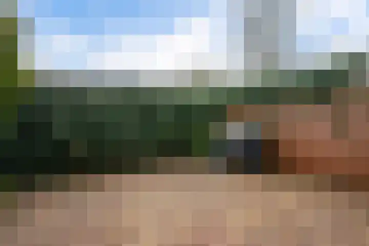 Stedenland 3 Houten thumbnail 28
