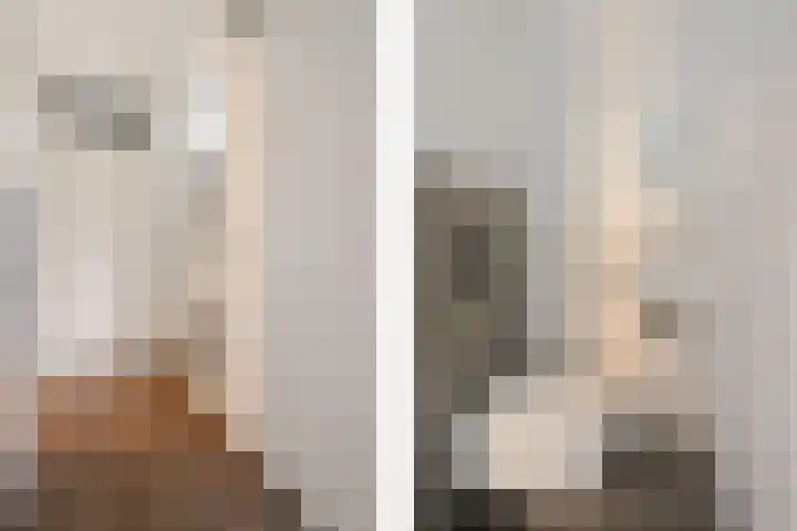 Stedenland 3 Houten thumbnail 4