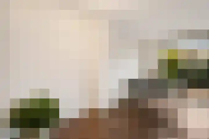 Stedenland 3 Houten thumbnail 7