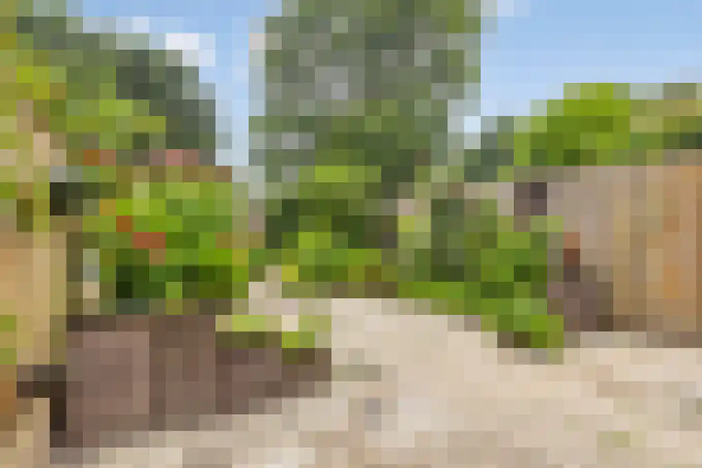 Stedenmeen 123 Harderwijk thumbnail 34