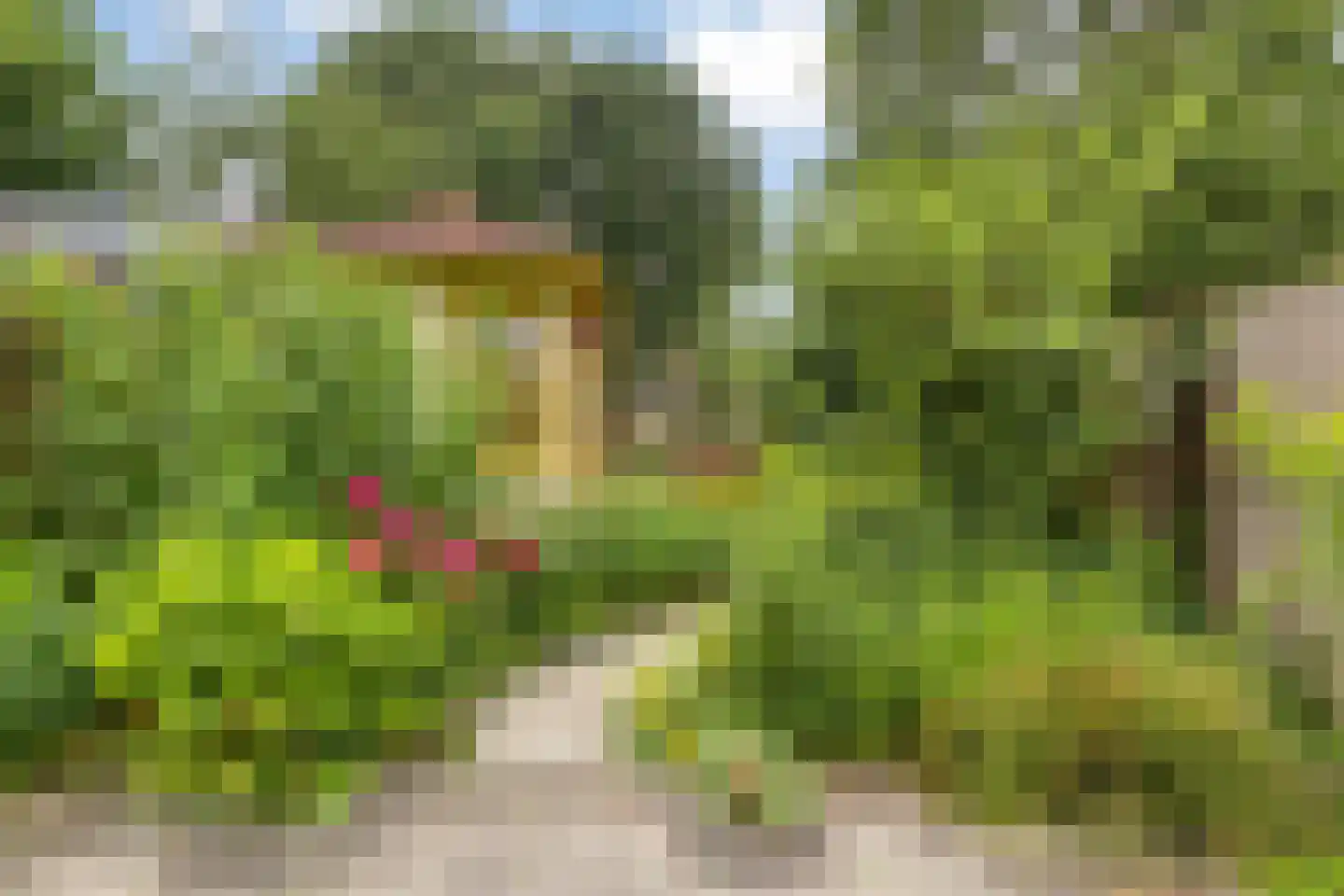 Stedenmeen 123 Harderwijk thumbnail 36