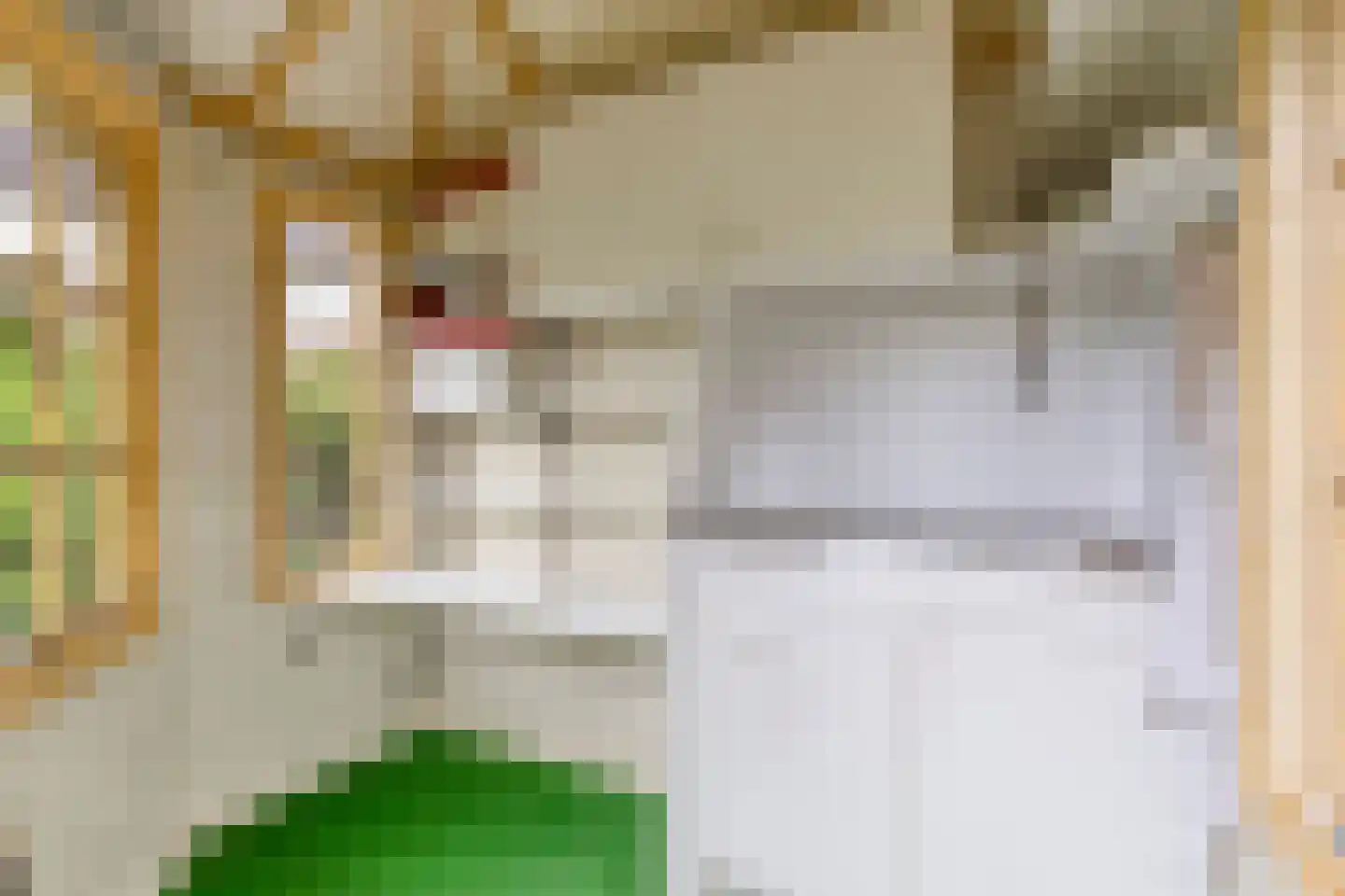 Stedenmeen 123 Harderwijk thumbnail 38