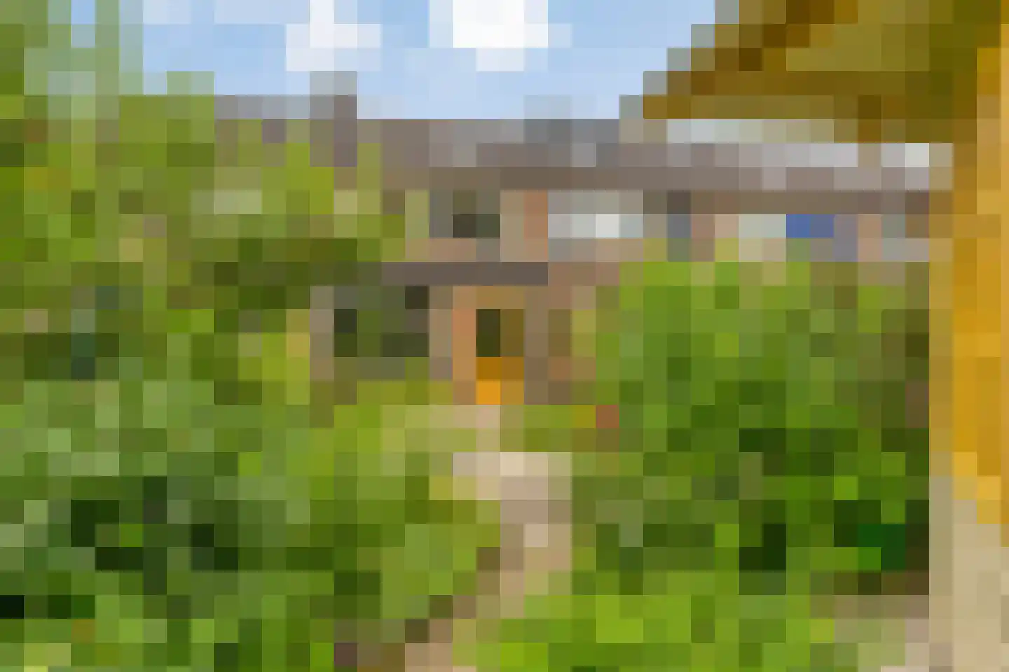 Stedenmeen 123 Harderwijk thumbnail 39