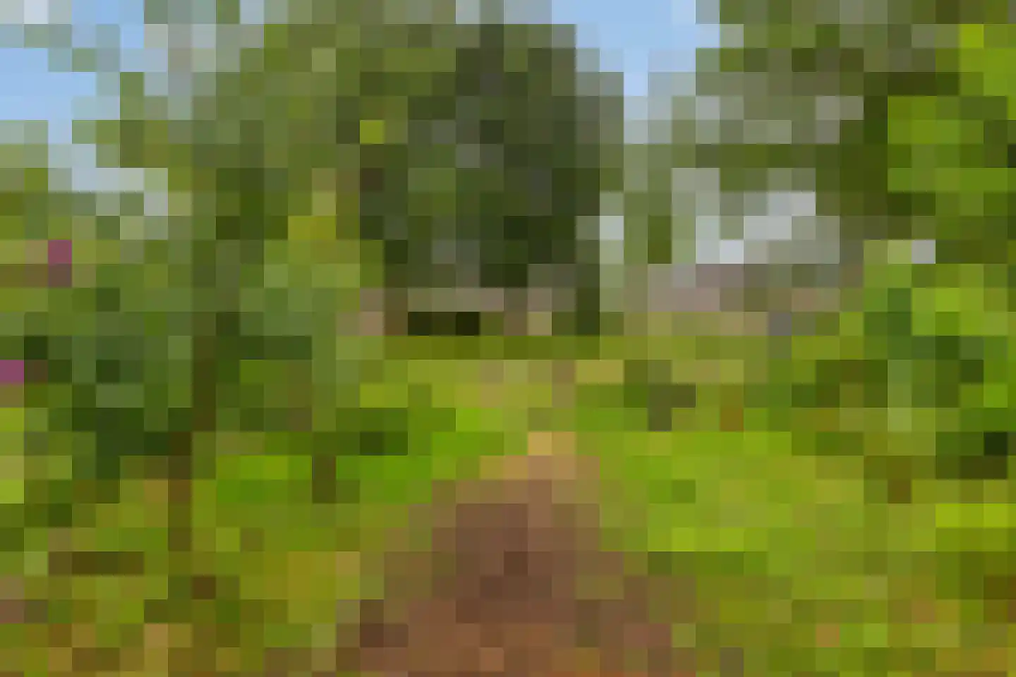 Stedenmeen 123 Harderwijk thumbnail 40