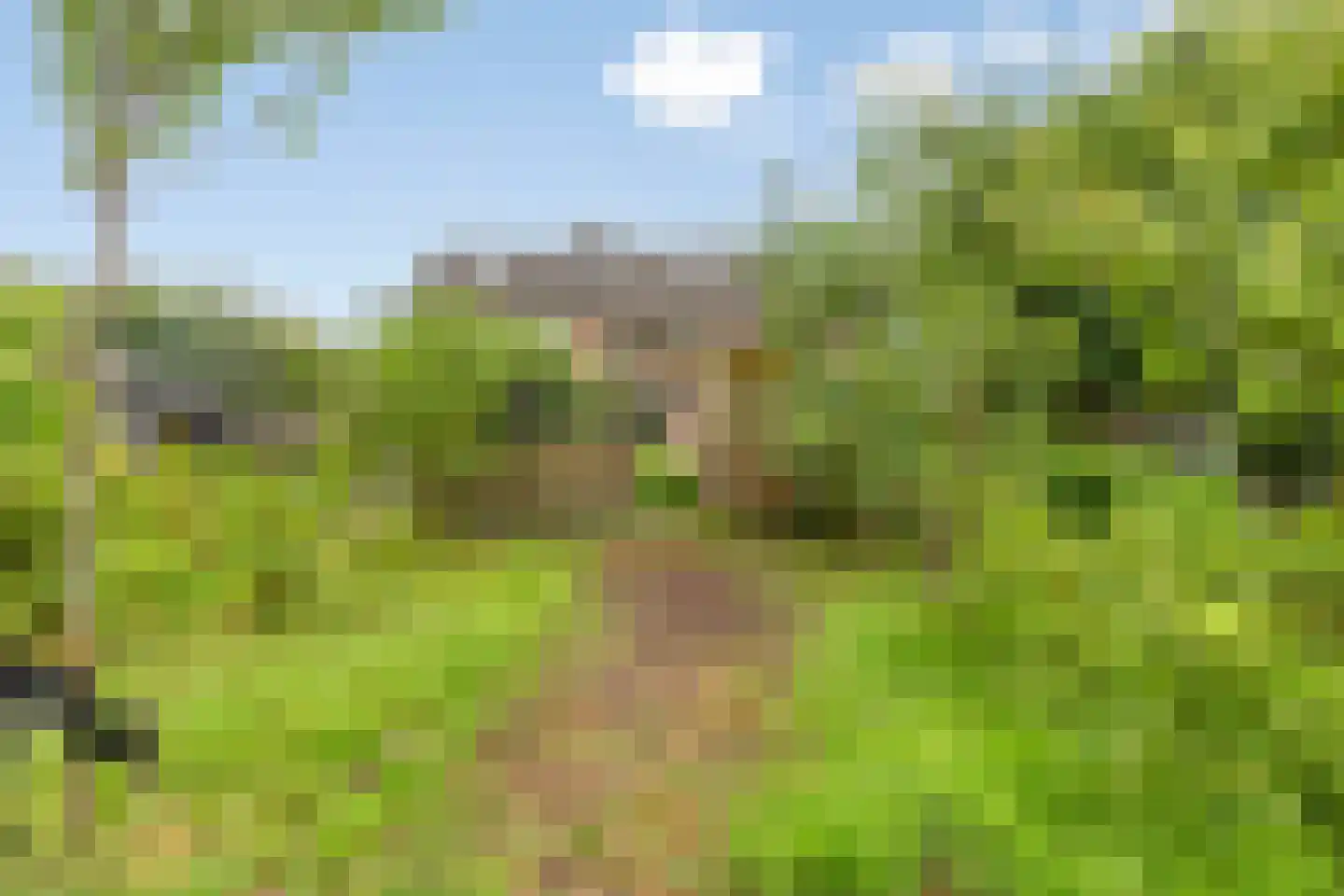 Stedenmeen 123 Harderwijk thumbnail 41
