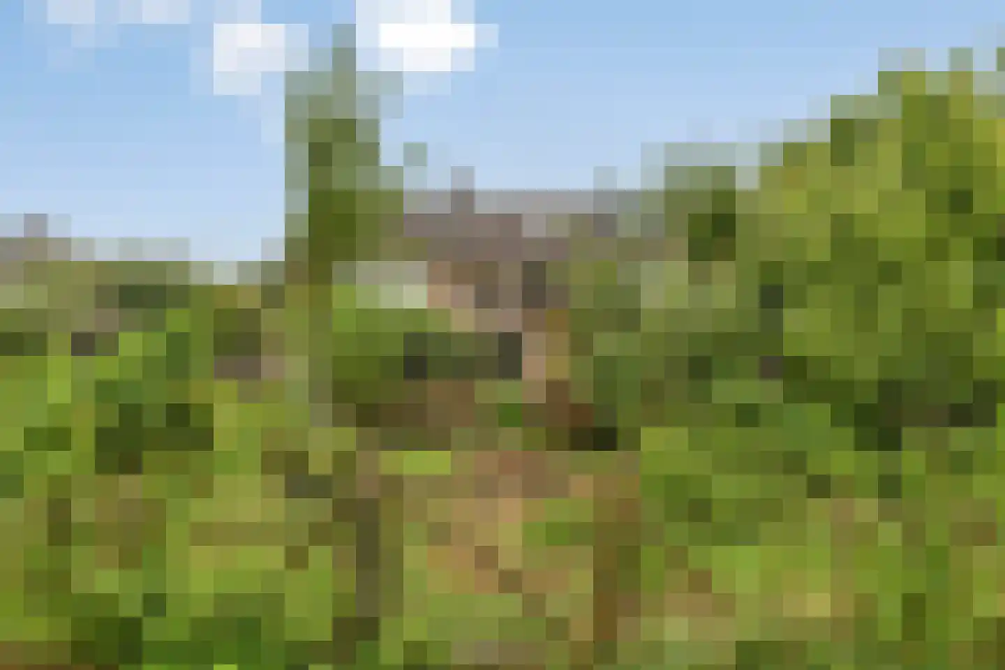 Stedenmeen 123 Harderwijk thumbnail 42