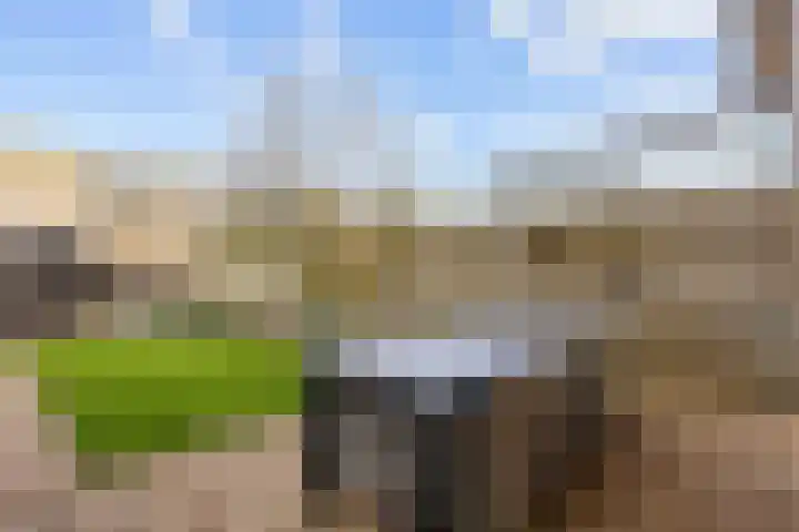 Stedepark 19 Assen thumbnail 42