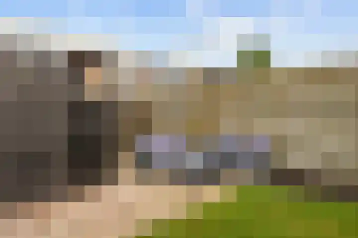 Stedepark 19 Assen thumbnail 47