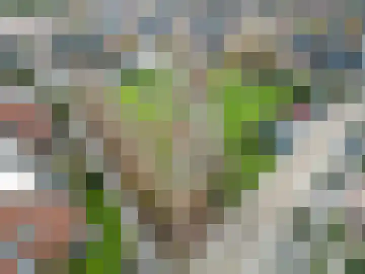 Stedepark 19 Assen thumbnail 49