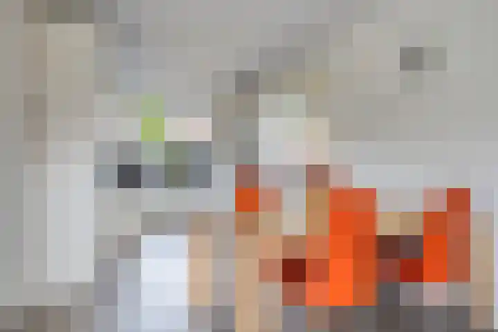 Stedewaarts 32 Assen thumbnail 10