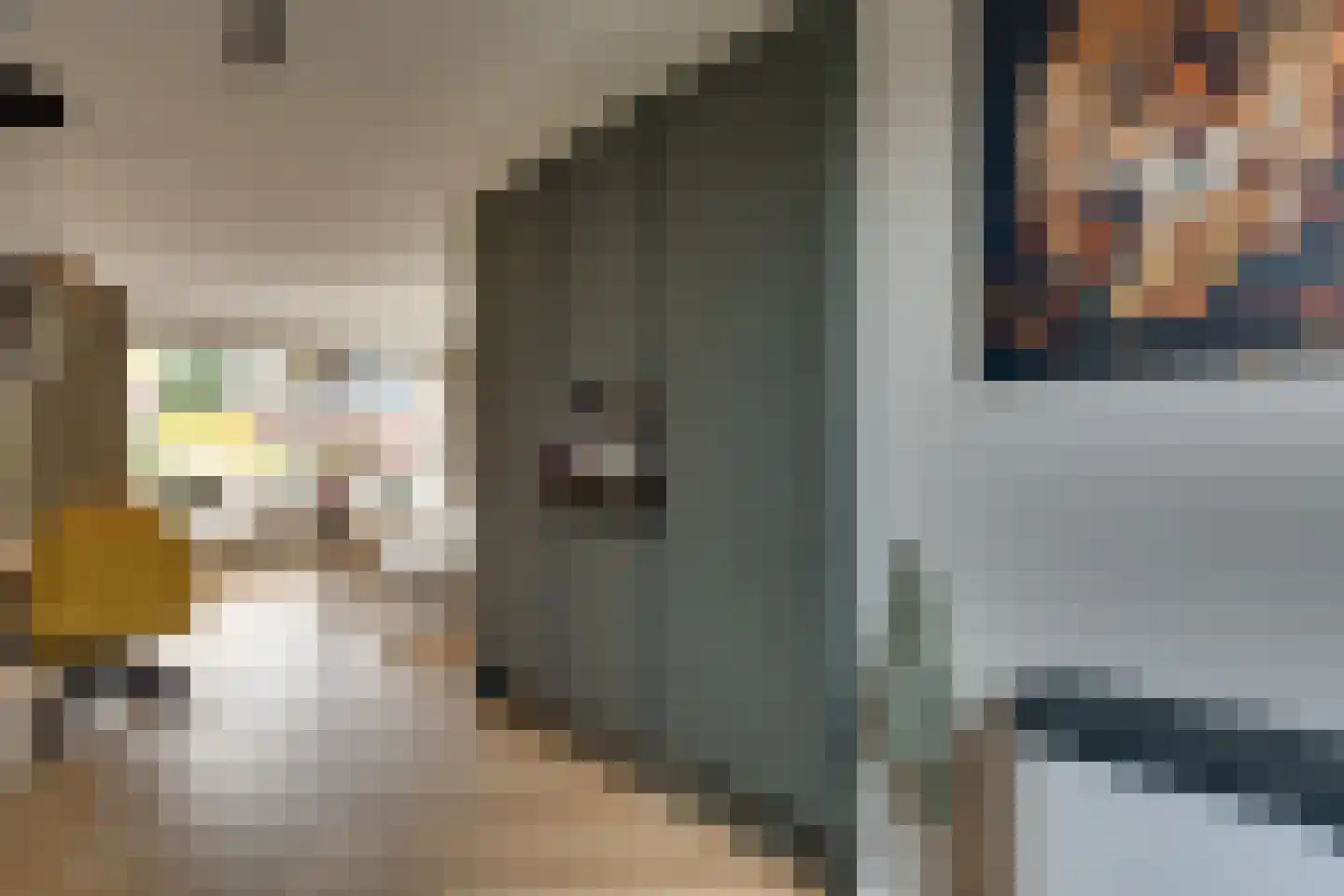 Stedewaarts 32 Assen thumbnail 10
