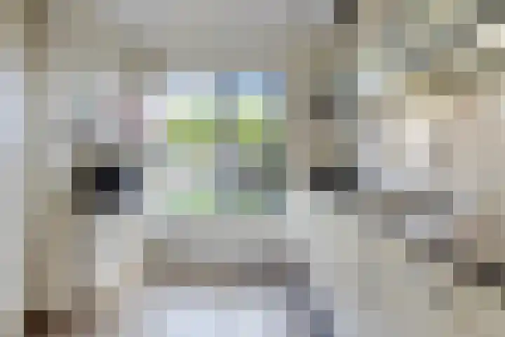 Stedewaarts 32 Assen thumbnail 11