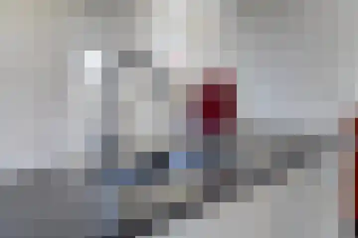 Stedewaarts 32 Assen thumbnail 13