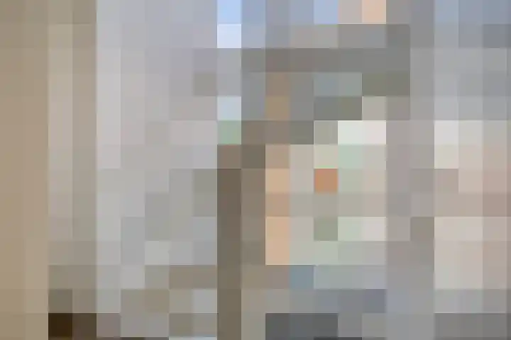 Stedewaarts 32 Assen thumbnail 15