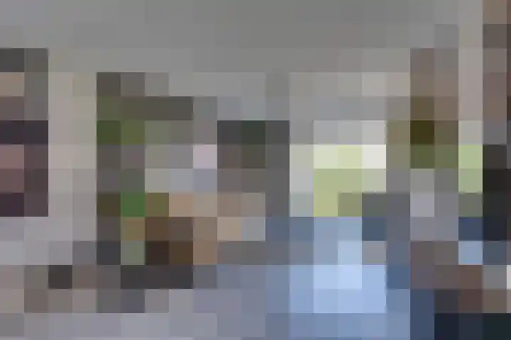 Stedewaarts 32 Assen thumbnail 17